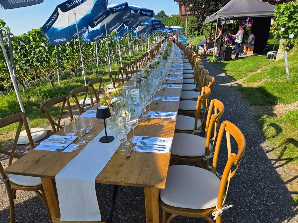 Lange Festtafel zwischen Weinreben